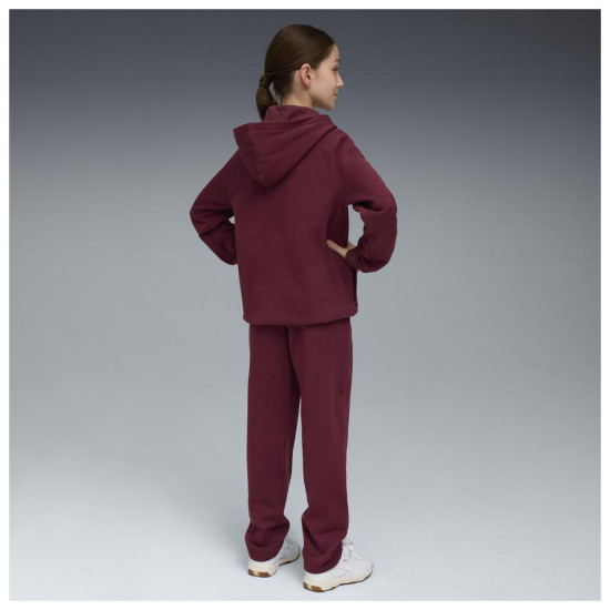 Puma Παιδικές φόρμες σετ Metallic Hooded Sweat Suit